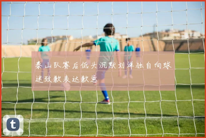 泰山队赛后低头沉默刘洋独自向球迷致歉表达歉意